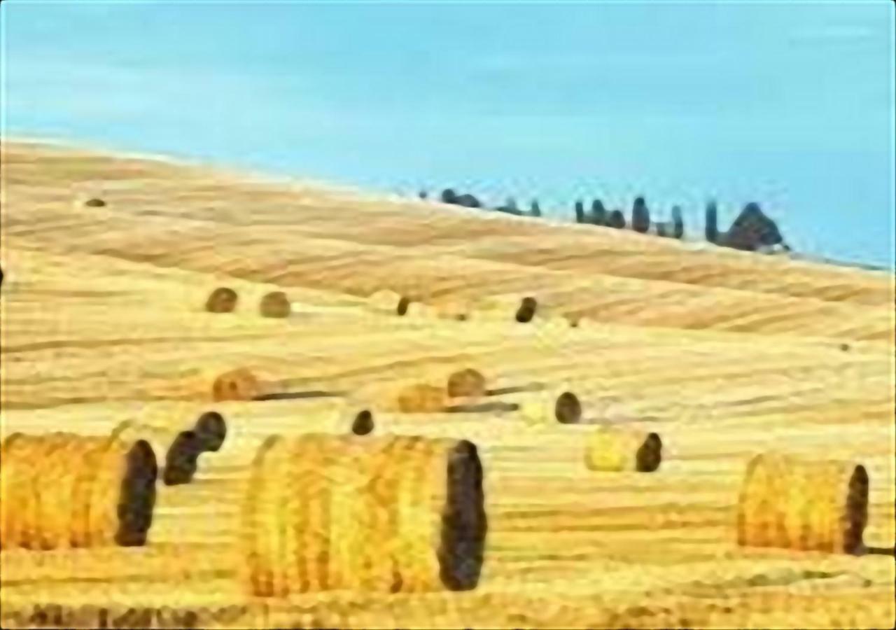 La Casa Di Nena Daire Vivo dʼOrcia Dış mekan fotoğraf